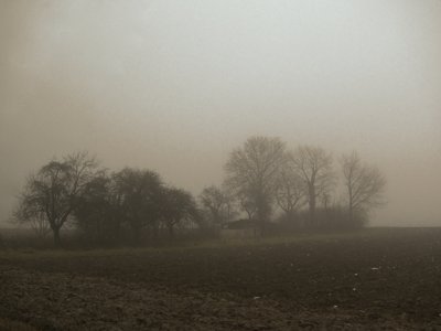 Cache cabane dans le temps_5306879389_l.jpg